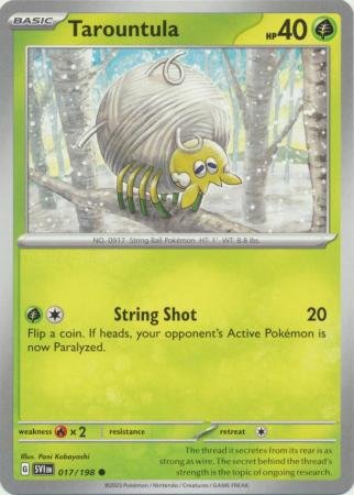 1775616.jpg 017/198 - Tarountula - Common