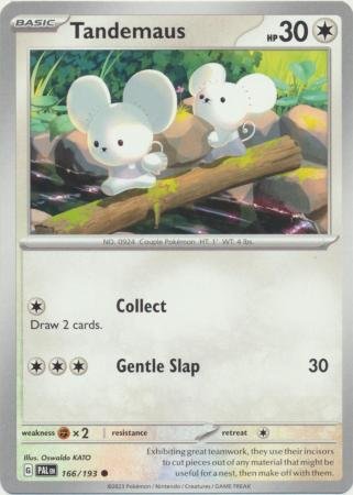 Tandemaus - 166/193 - Common