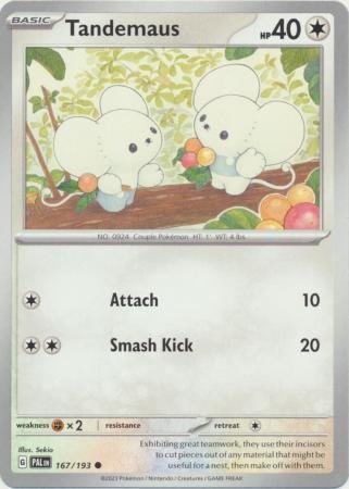 Tandemaus - 167/193 - Common