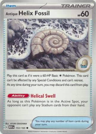 153/165 - Antique Helix Fossil - Common