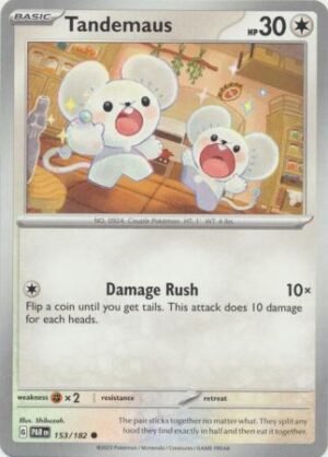 1789919.jpg 153/182 - Tandemaus - Common