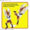 Pokémon BANDAI Hobby Plastic Model Kit 50 Cinderace Pokémon Spirits PLAMO