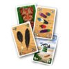 8436607940548-1200-components1 Samoa-Spanish